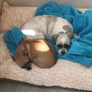 Meet your Posher, Barb